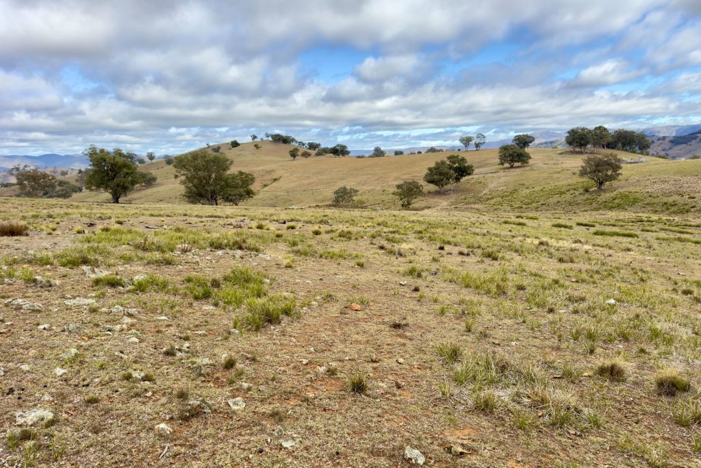 For Sale -  Lot 65, 4780 Ilford Sofala Road, Sofala - New Property in Bathurst - Real Estate by Stewart Adlington