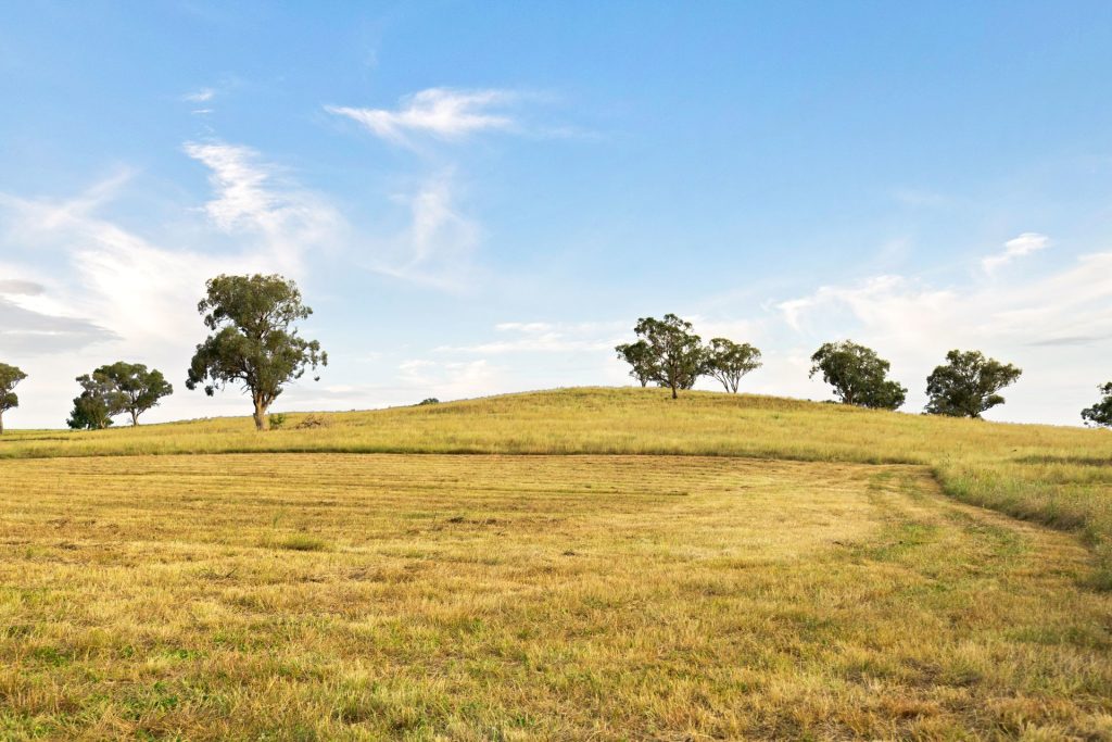 Auction - 705 Springfield Lane - New Property in Gulgong - Real Estate by Stewart Adlington