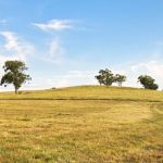 705 Springfield Lane Gulgong NSW 2852 AUS