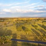 705 Springfield Lane Gulgong NSW 2852 AUS