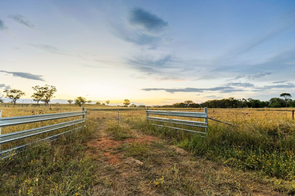 Auction - 705 Springfield Lane - New Property in Gulgong - Real Estate by Stewart Adlington