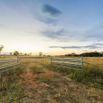 705 Springfield Lane Gulgong NSW 2852 AUS
