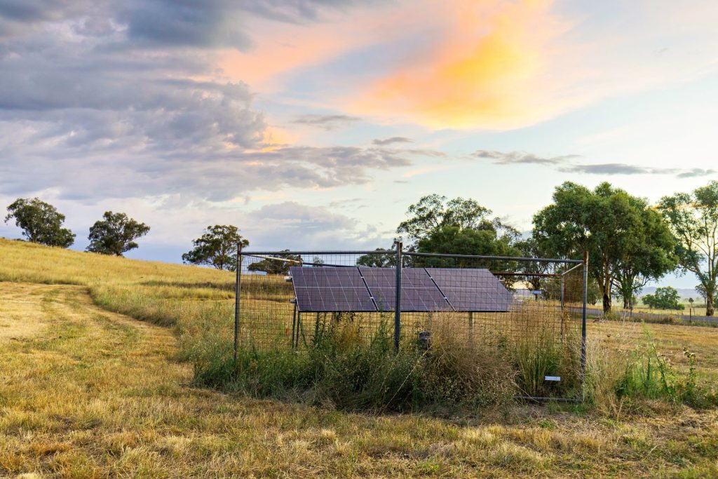 Auction - 705 Springfield Lane - New Property in Gulgong - Real Estate by Stewart Adlington