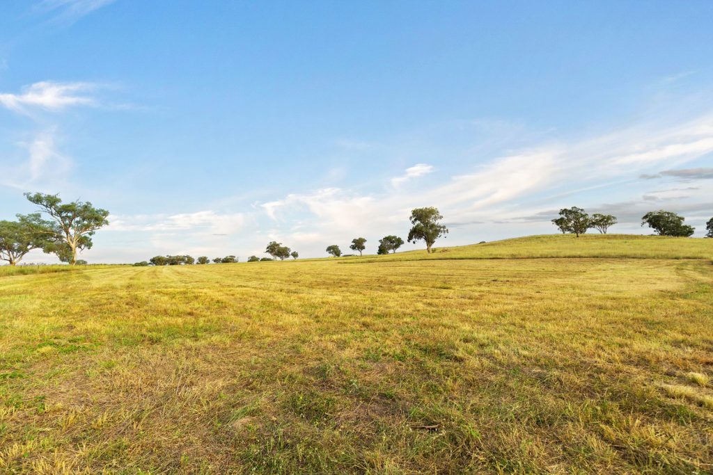 Auction - 705 Springfield Lane - New Property in Gulgong - Real Estate by Stewart Adlington