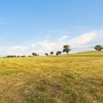 705 Springfield Lane Gulgong NSW 2852 AUS