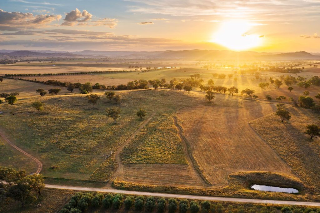 Auction - 705 Springfield Lane - New Property in Gulgong - Real Estate by Stewart Adlington