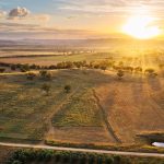 705 Springfield Lane Gulgong NSW 2852 AUS