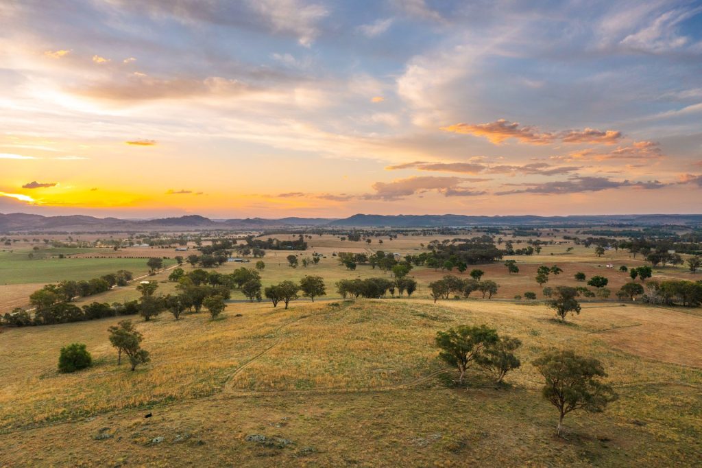 Auction - 705 Springfield Lane - New Property in Gulgong - Real Estate by Stewart Adlington