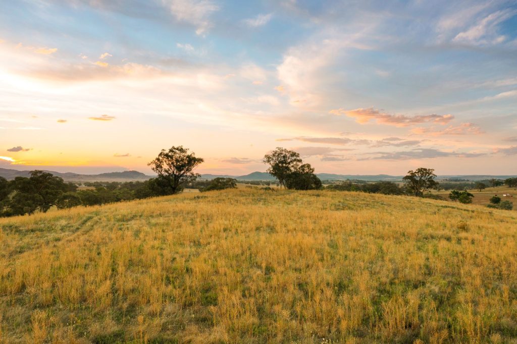 Auction - 705 Springfield Lane - New Property in Gulgong - Real Estate by Stewart Adlington