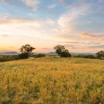705 Springfield Lane Gulgong NSW 2852 AUS