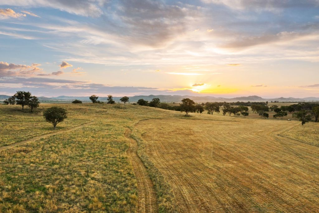 Auction - 705 Springfield Lane - New Property in Gulgong - Real Estate by Stewart Adlington