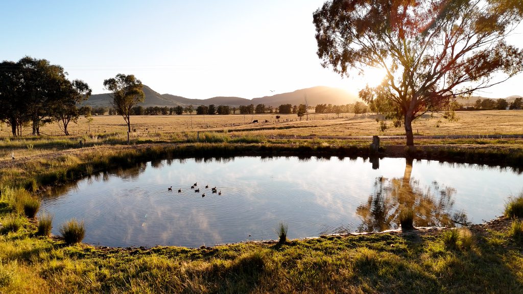 Lawson Estate, Mudgee