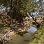 123 Norlenbah Road Mudgee NSW 2850 AUS