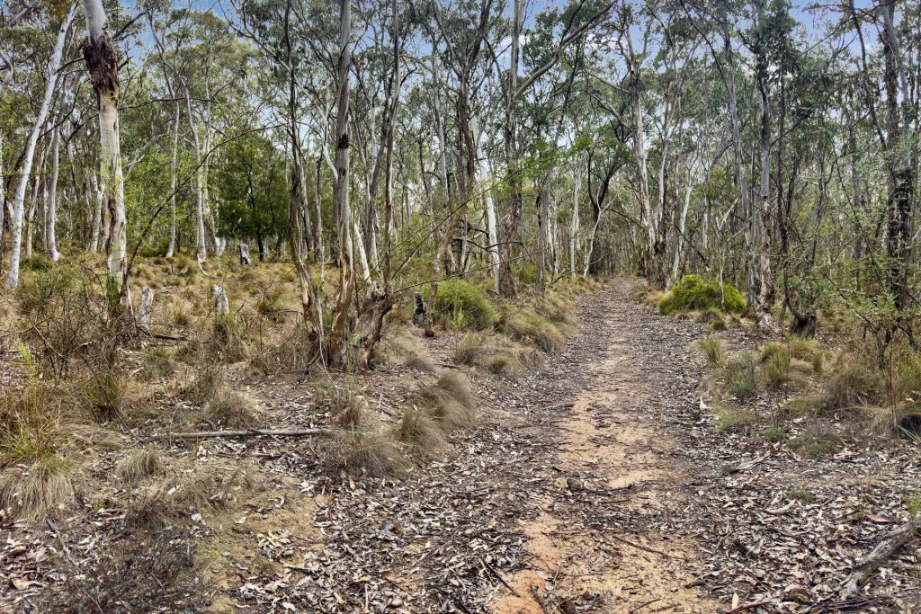 Sold - Lot 22 Glen Davis Road - New Property in Capertee - Real Estate by Stewart Adlington