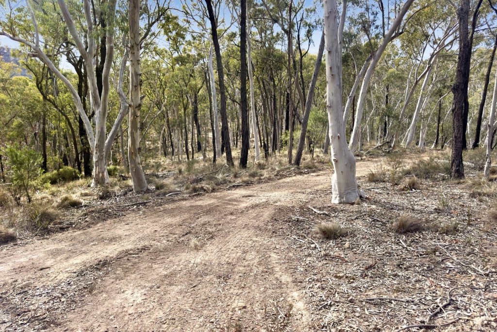 Sold - Lot 22 Glen Davis Road - New Property in Capertee - Real Estate by Stewart Adlington