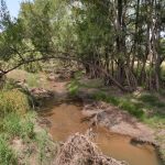 405 Lowes Peak Road Mudgee NSW 2850 AUS