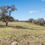 37 Calderwood Road Rylstone NSW 2849 AUS