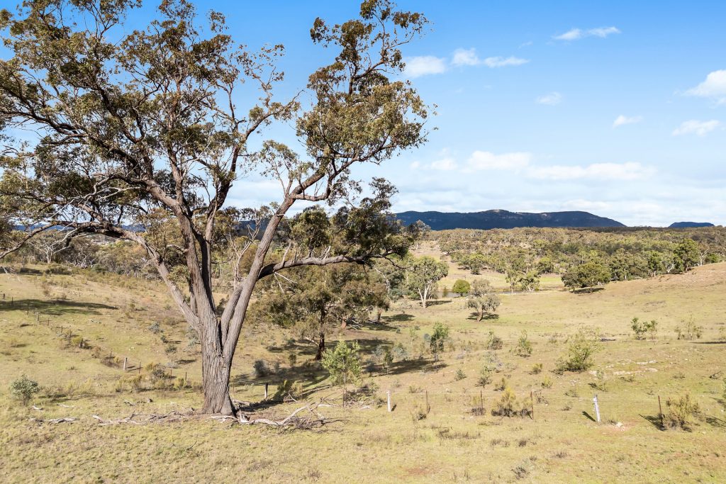 Sold - 37 Calderwood Road - New Property in Rylstone - Real Estate by Stewart Adlington
