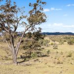 37 Calderwood Road Rylstone NSW 2849 AUS