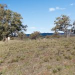 37 Calderwood Road Rylstone NSW 2849 AUS