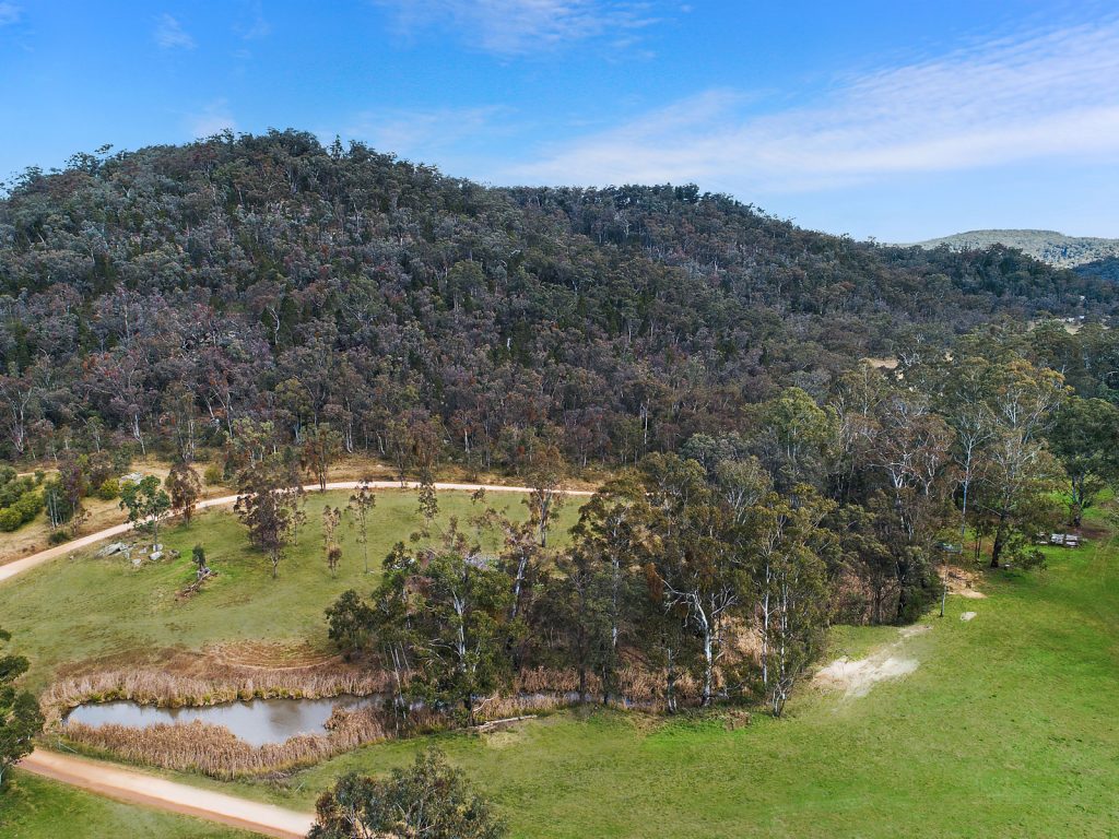For Sale - 934 White Cedars Road - New Property in Mudgee - Real Estate by Adam Woods