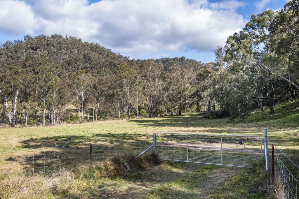 For Sale - 934 White Cedars Road - New Property in Mudgee - Real Estate by Adam Woods