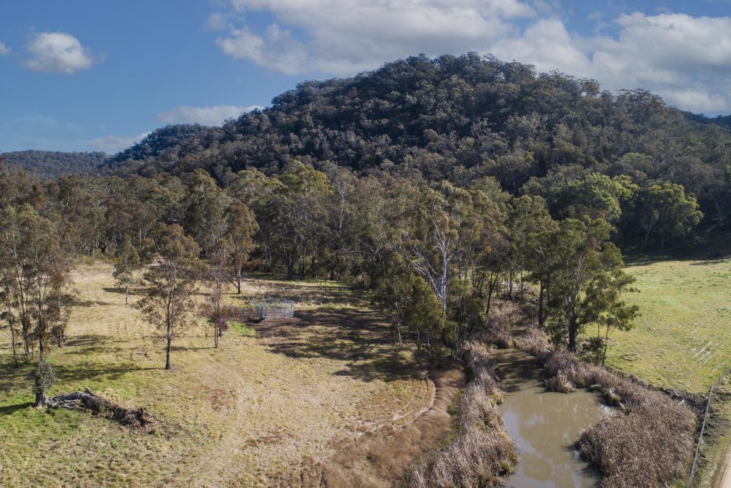 For Sale - 934 White Cedars Road - New Property in Mudgee - Real Estate by Adam Woods