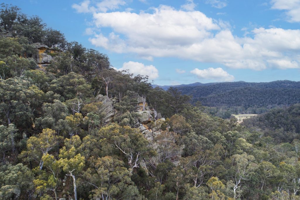 For Sale - 934 White Cedars Road - New Property in Mudgee - Real Estate by Adam Woods