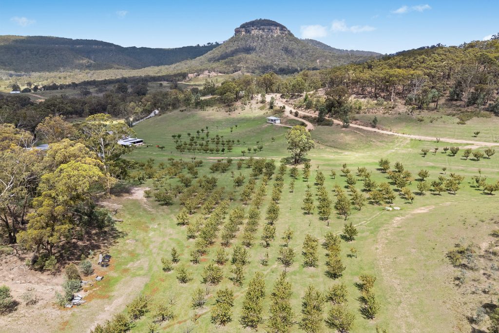Buy - 345 Bylong Valley Way - New Property in Mudgee - Real Estate by Stewart Adlington