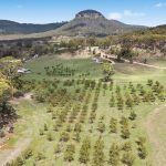 345 Bylong Valley Way Mudgee NSW 2850 AUS