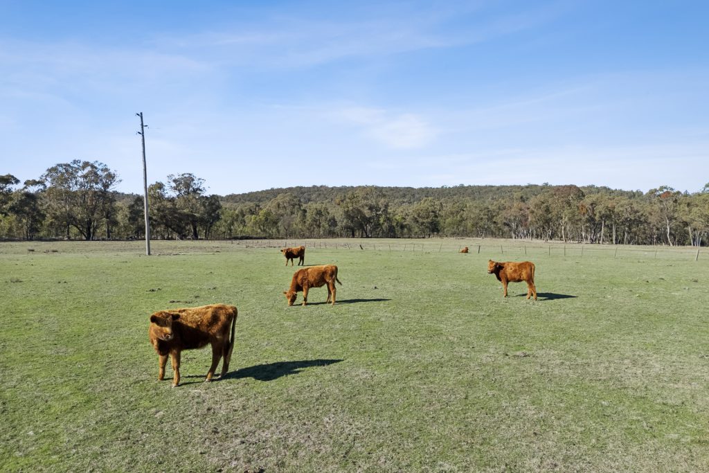 For Sale - 4405 Bylong Valley Way - New Property in Rylstone - Real Estate by Stewart Adlington