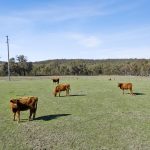 4405 Bylong Valley Way Rylstone NSW 2849 AUS