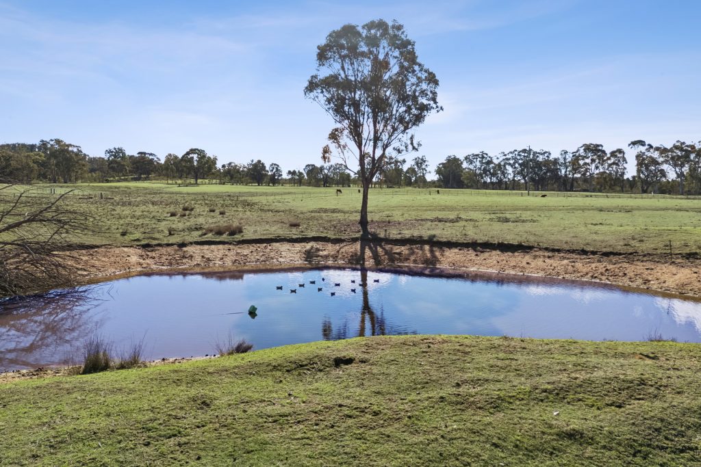 For Sale - 4405 Bylong Valley Way - New Property in Rylstone - Real Estate by Stewart Adlington