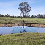 4405 Bylong Valley Way Rylstone NSW 2849 AUS