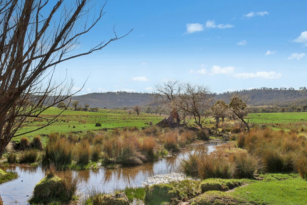 For Sale - 5506 Castlereagh Highway - New Property in Running Stream - Real Estate by Adam Woods