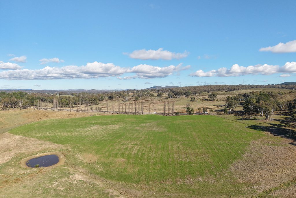 For Sale - 5506 Castlereagh Highway - New Property in Running Stream - Real Estate by Adam Woods