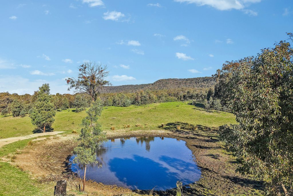 Sold - 375 Mcdonalds Hole Road - New Property in Lithgow - Real Estate by Adam Woods