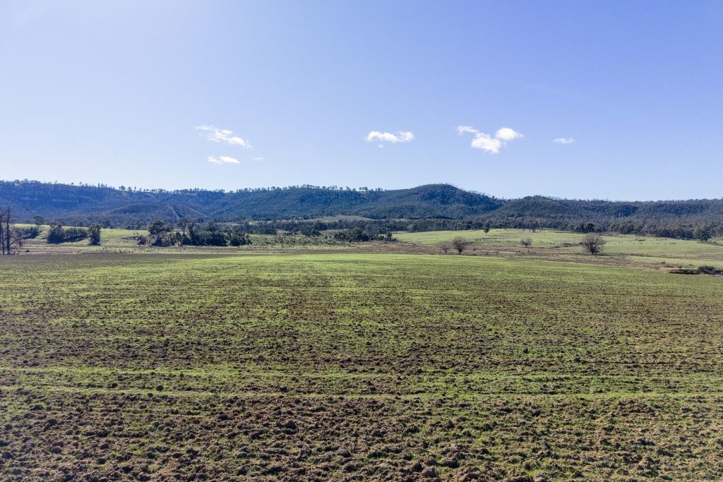 For Sale - 5506 Castlereagh Highway - New Property in Running Stream - Real Estate by Adam Woods