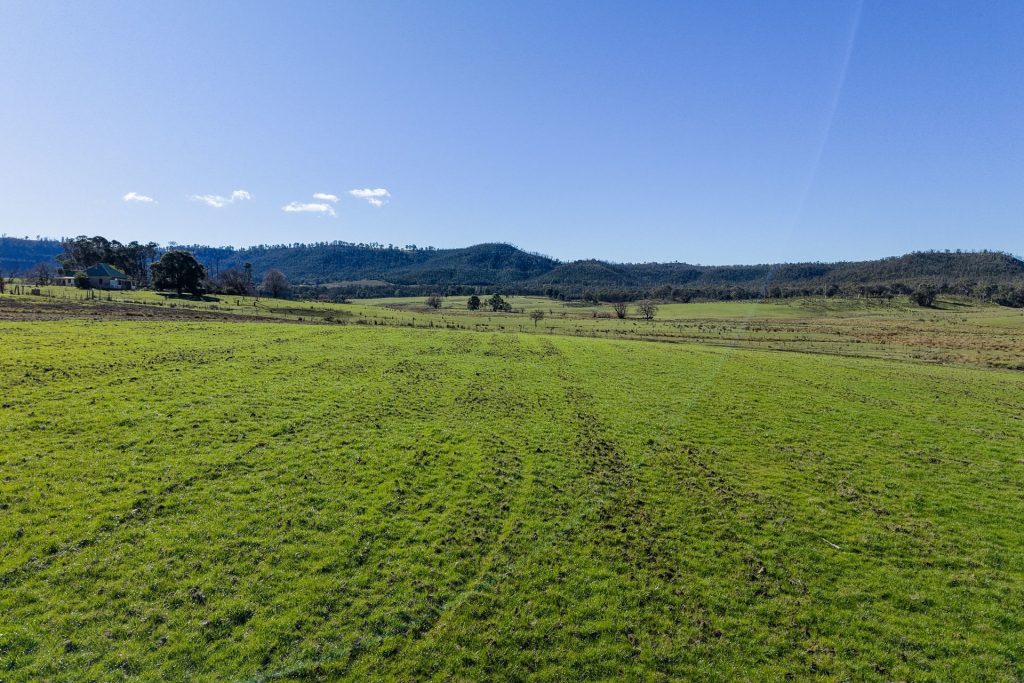 For Sale - 5506 Castlereagh Highway - New Property in Running Stream - Real Estate by Adam Woods