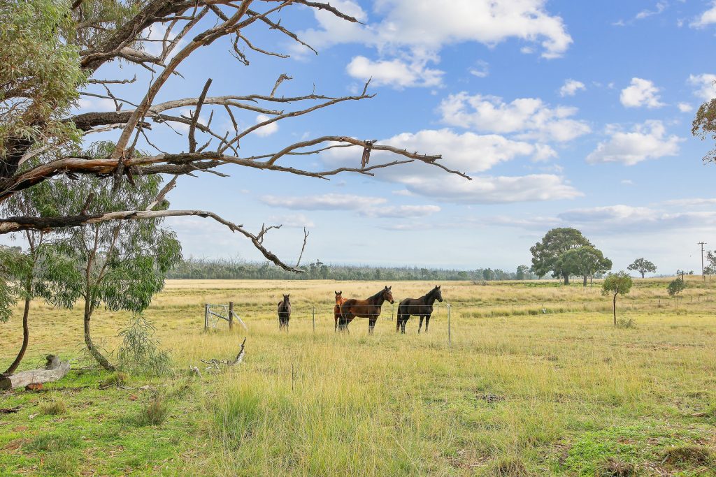 Sold - 22 Cainbil Road - New Property in Coolah - Real Estate by Hamish Rowe