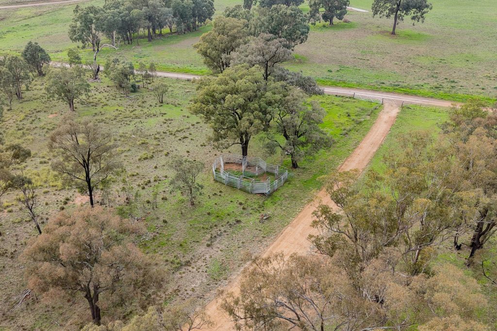 Sold - 22 Cainbil Road - New Property in Coolah - Real Estate by Hamish Rowe