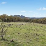 261 Mossy Rock Lane Mudgee NSW 2850 AUS