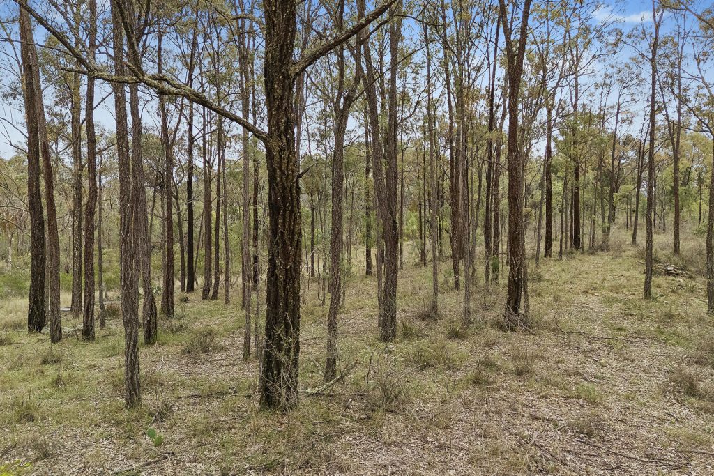 For Sale - 2805 Glen Alice Road - New Property in Rylstone - Real Estate by Stewart Adlington