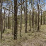 2805 Glen Alice Road Rylstone NSW 2849 AUS