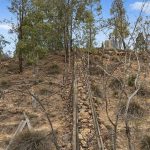 2805 Glen Alice Road Rylstone NSW 2849 AUS