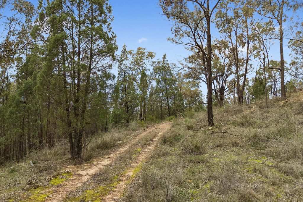 For Sale - 2805 Glen Alice Road - New Property in Rylstone - Real Estate by Stewart Adlington