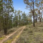 2805 Glen Alice Road Rylstone NSW 2849 AUS