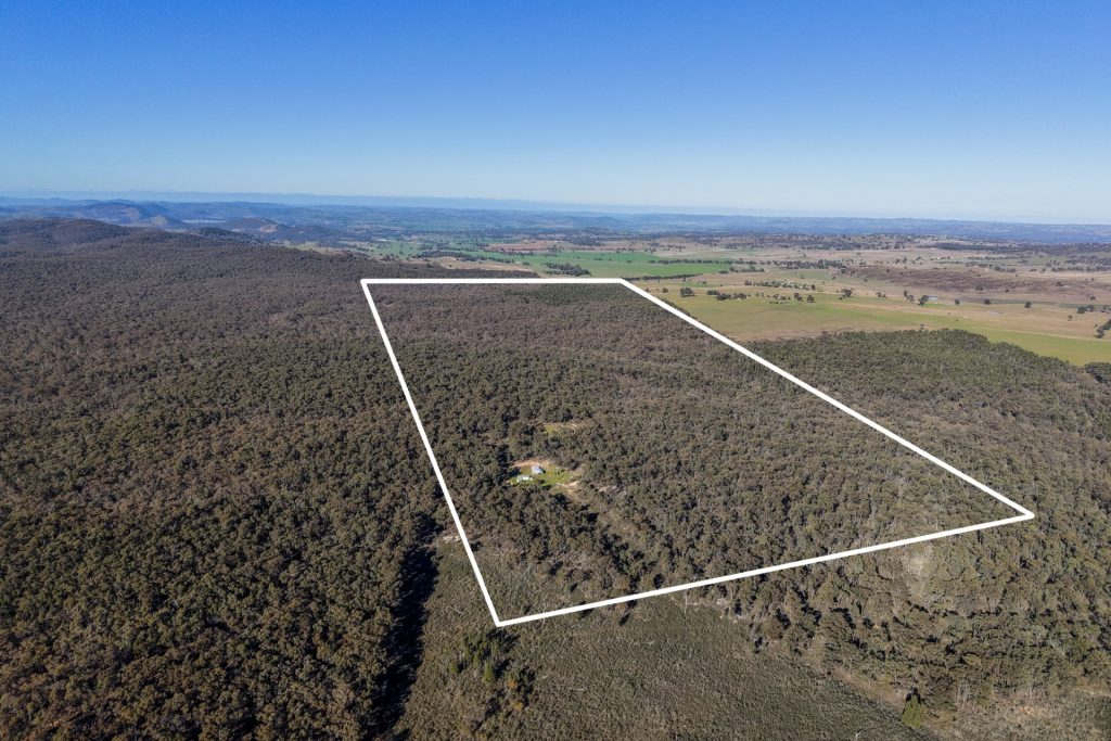 For Sale - 1787 Spring Ridge Road - New Property in Gulgong - Real Estate by Hamish Rowe