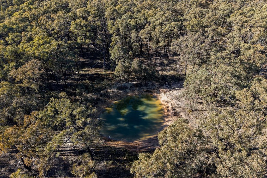 For Sale - 1787 Spring Ridge Road - New Property in Gulgong - Real Estate by Hamish Rowe