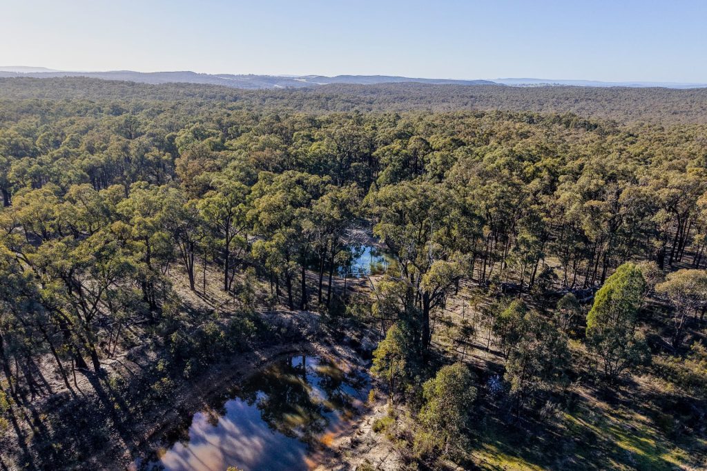 For Sale - 1787 Spring Ridge Road - New Property in Gulgong - Real Estate by Hamish Rowe